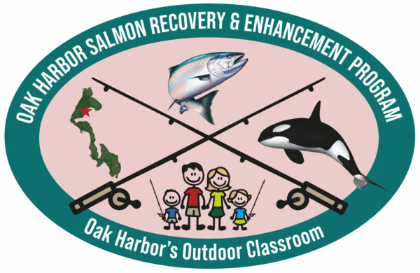 Salmon Recovery Sticker